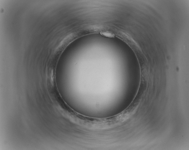 X0000073710024200608031251