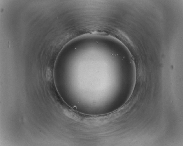 X0000073710025200608031251