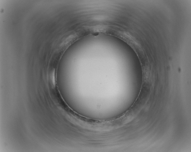 X0000073710028200608031251