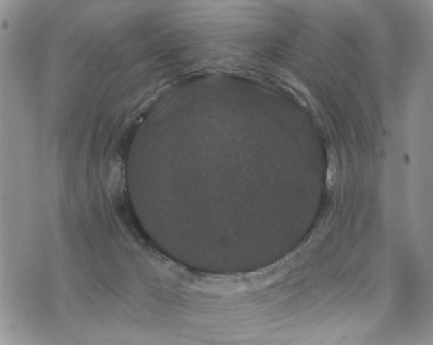 X0000073710029200608031251