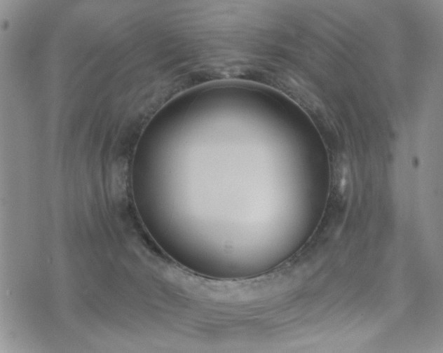 X0000073710030200608031251