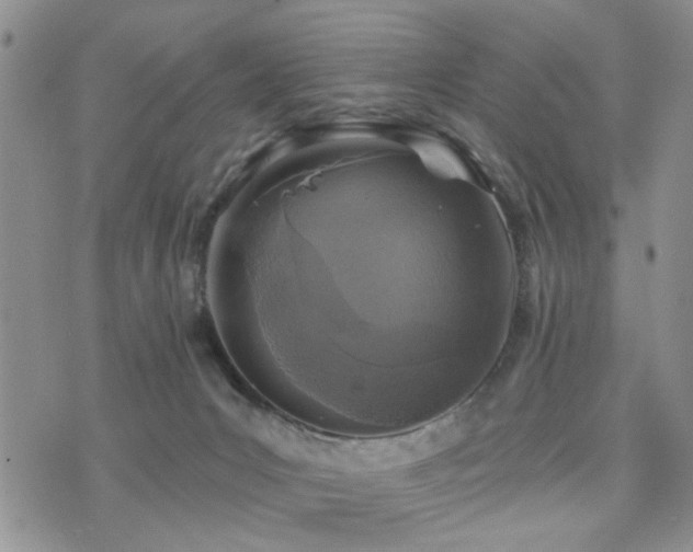 X0000073710031200608031251