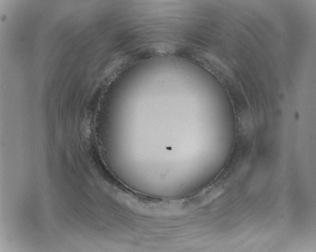 X0000073710032200608031251