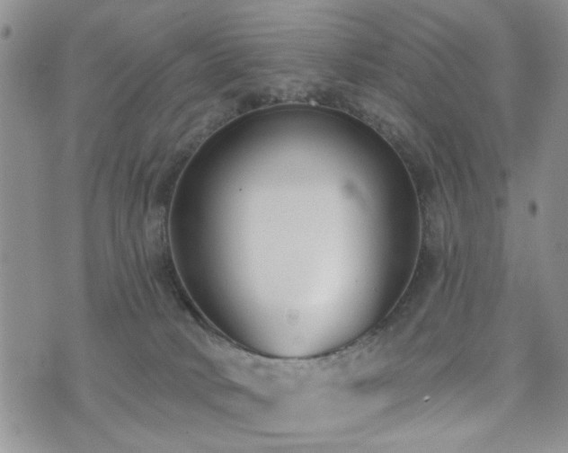 X0000073710034200608031251