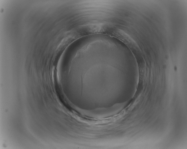 X0000073710035200608031251