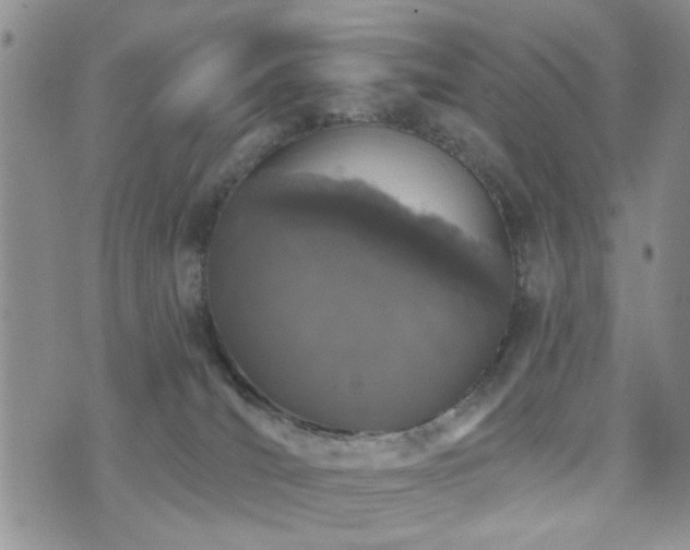 X0000073710036200608031251