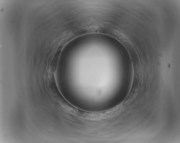 X0000073710037200608031250