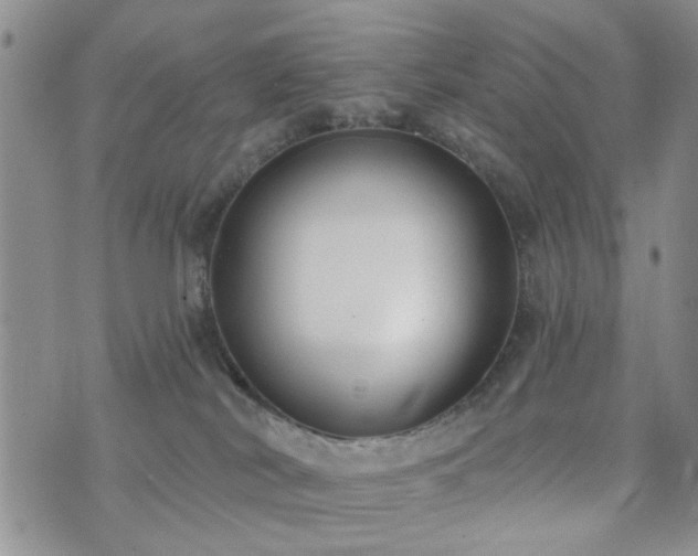 X0000073710038200608031250