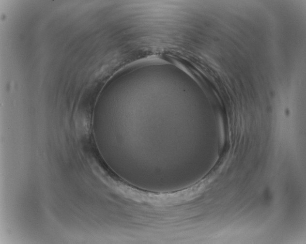 X0000073710039200608031250