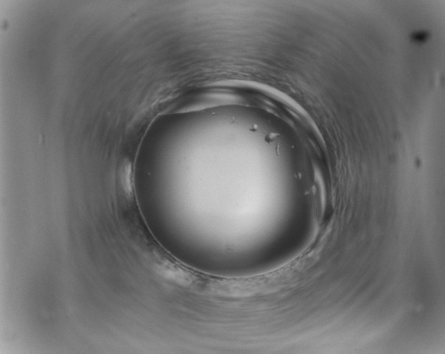 X0000073710041200608031250