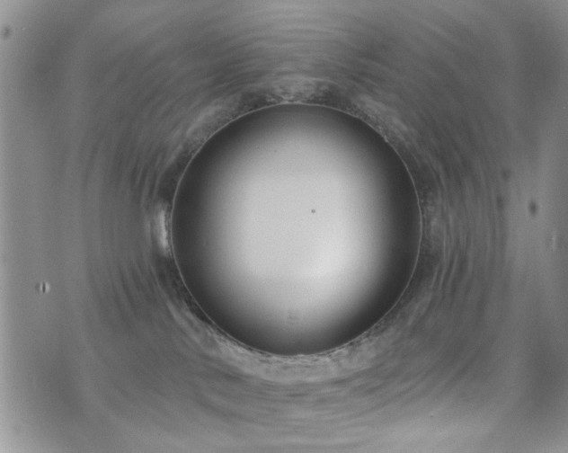 X0000073710042200608031250