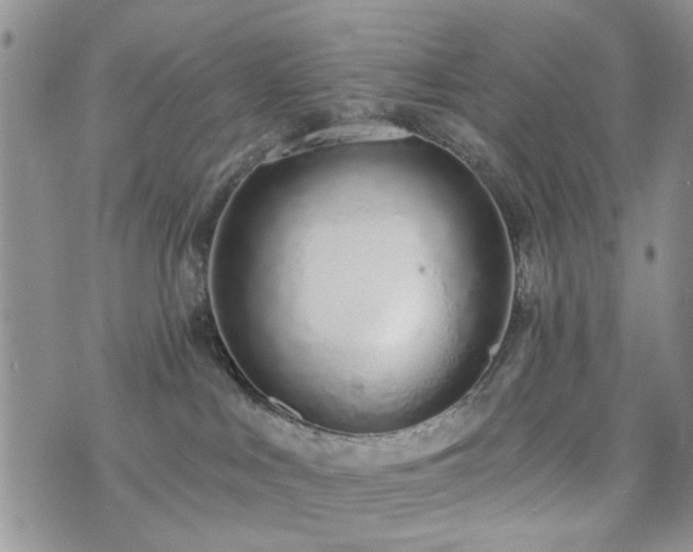 X0000073710043200608031250