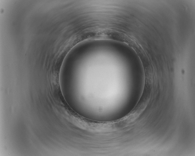 X0000073710044200608031250