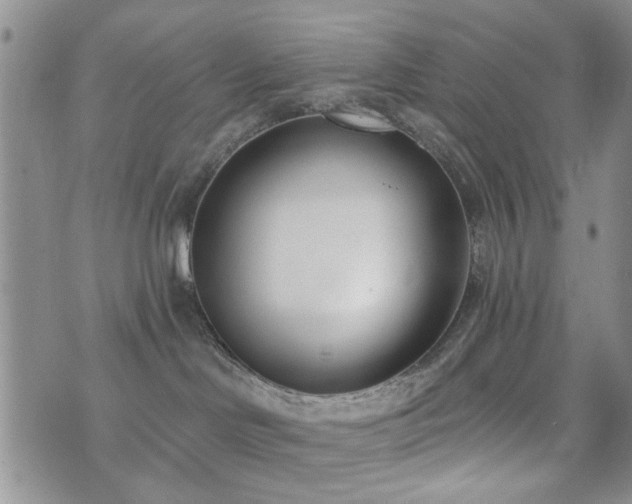 X0000073710046200608031250