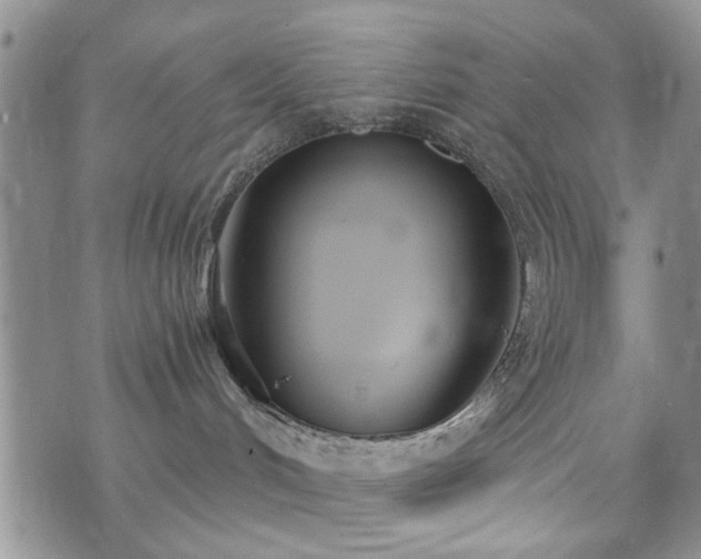 X0000073710048200608031250