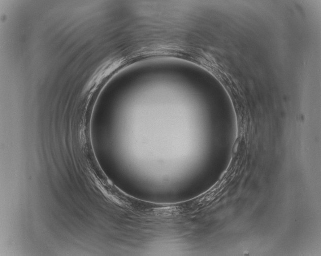 X0000073710050200608031250