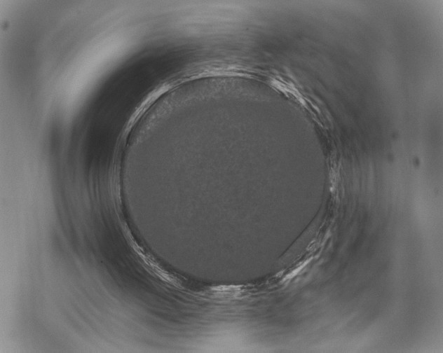 X0000073710052200608031250