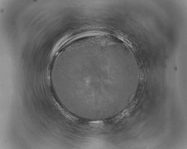 X0000073710053200608031250