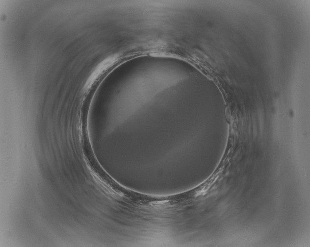 X0000073710054200608031250