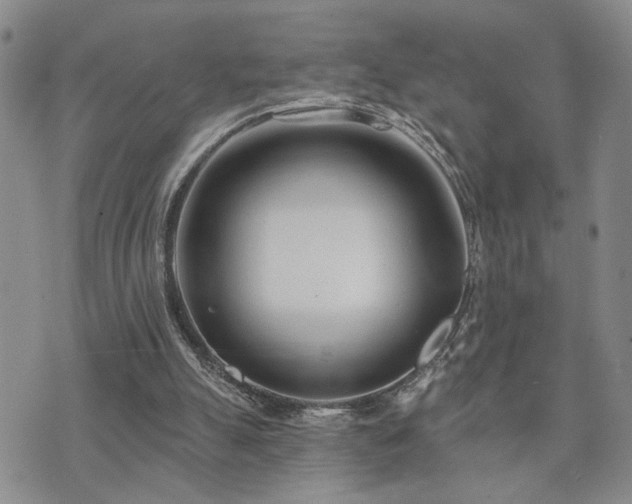 X0000073710055200608031250