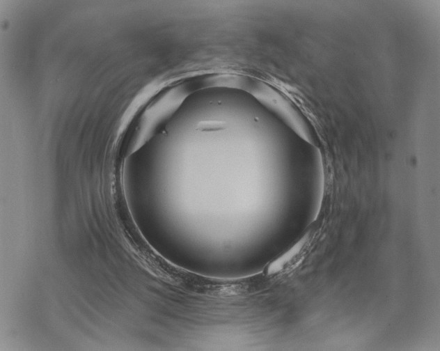 X0000073710056200608031250