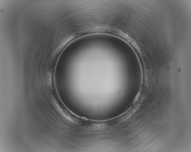 X0000073710057200608031250