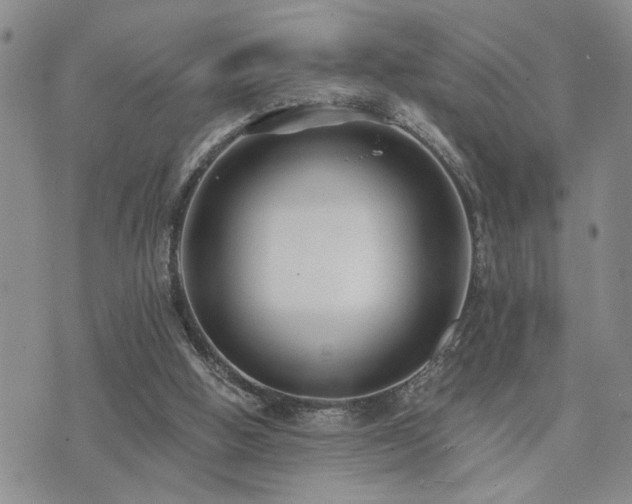 X0000073710058200608031250