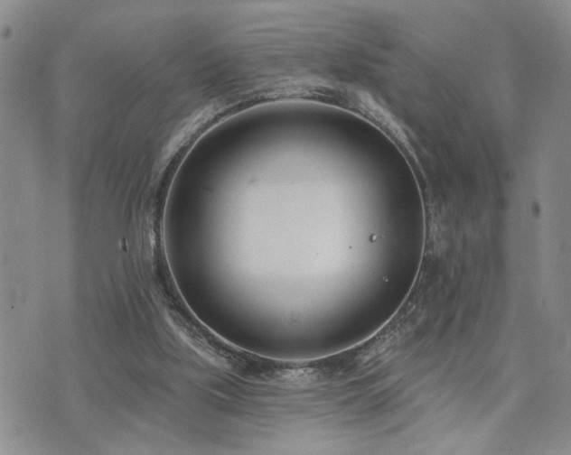 X0000073710059200608031250