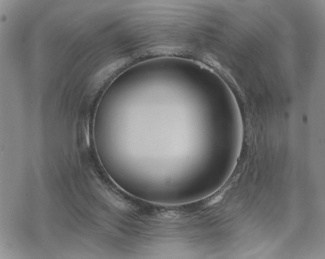 X0000073710062200608031250