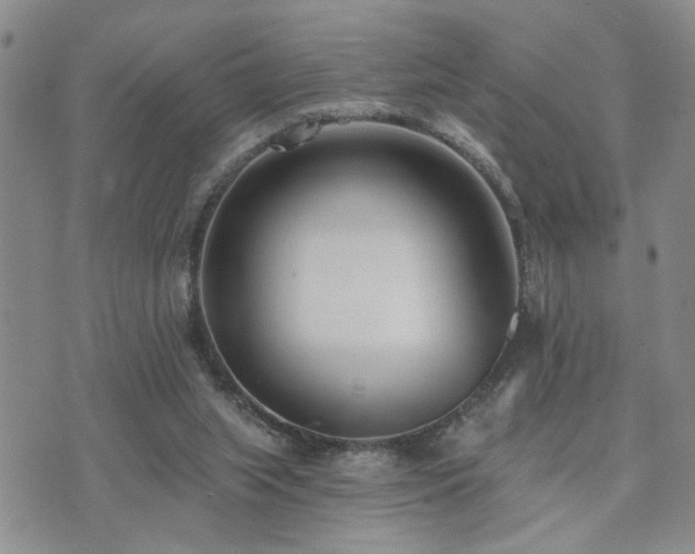 X0000073710063200608031250