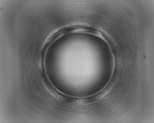 X0000073710064200608031250