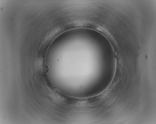 X0000073710066200608031250