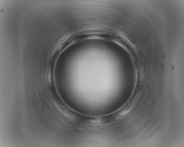 X0000073710068200608031250