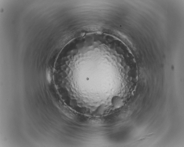 X0000073710069200608031250