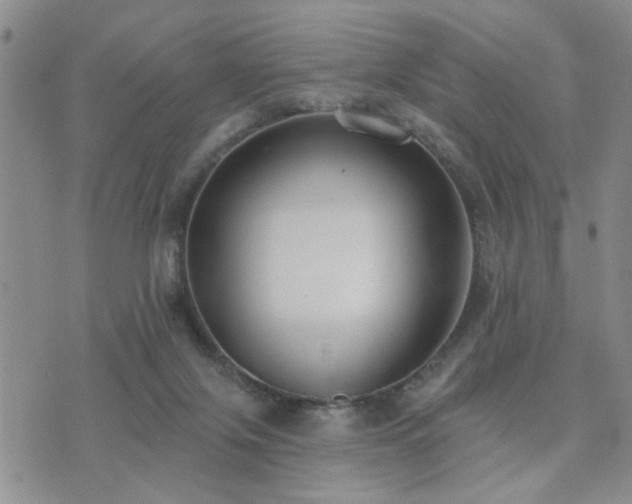 X0000073710071200608031250