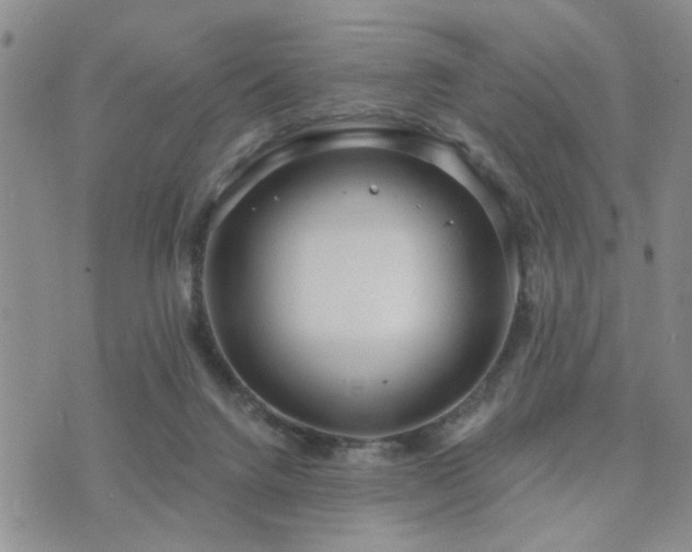 X0000073710072200608031250