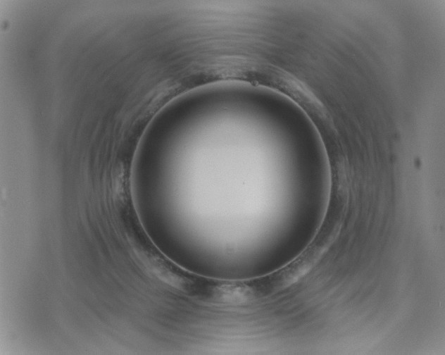 X0000073710073200608031250