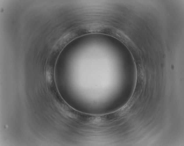 X0000073710074200608031250