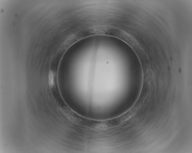 X0000073710075200608031250