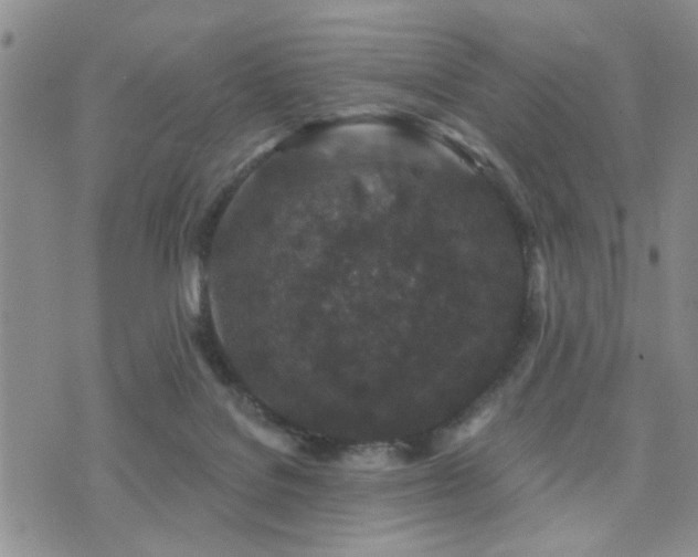 X0000073710076200608031250