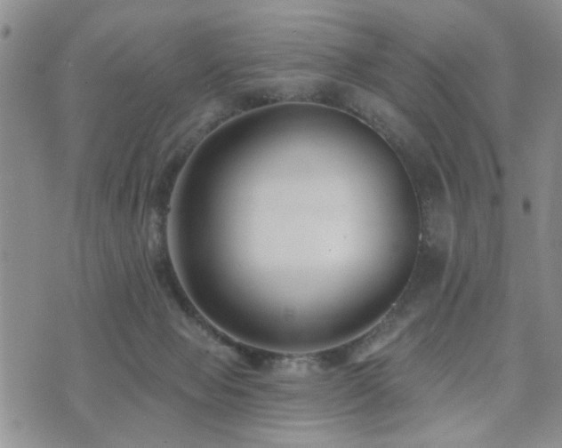 X0000073710077200608031250