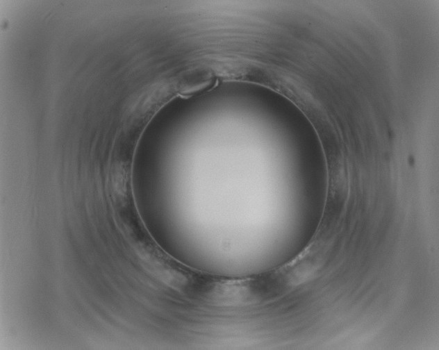 X0000073710078200608031250