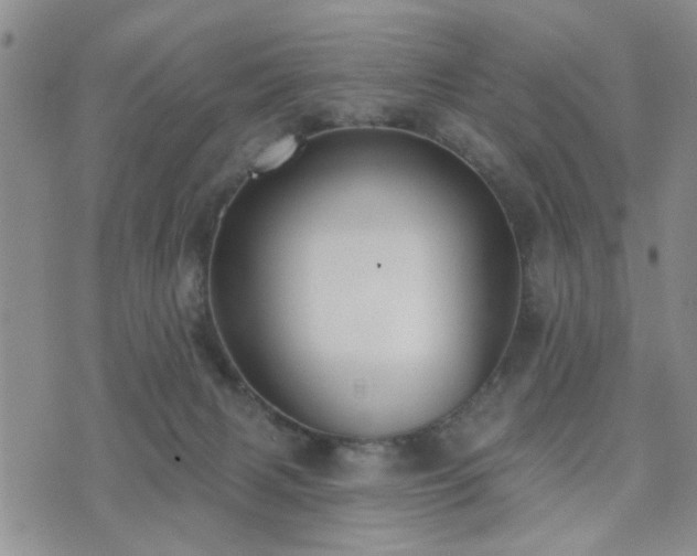 X0000073710079200608031250