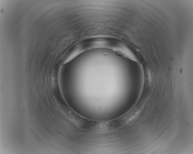 X0000073710080200608031250