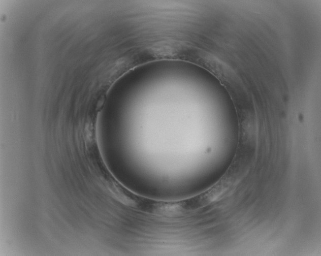 X0000073710081200608031250