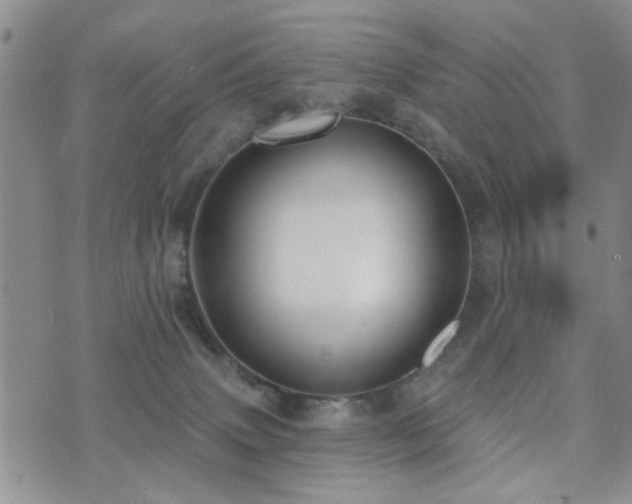 X0000073710083200608031250