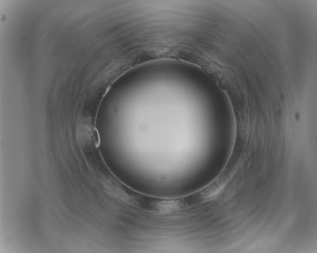 X0000073710085200608031250