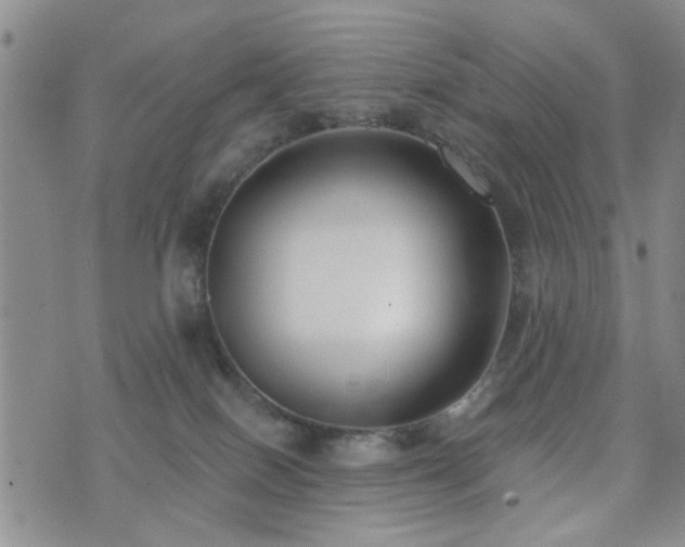 X0000073710086200608031250