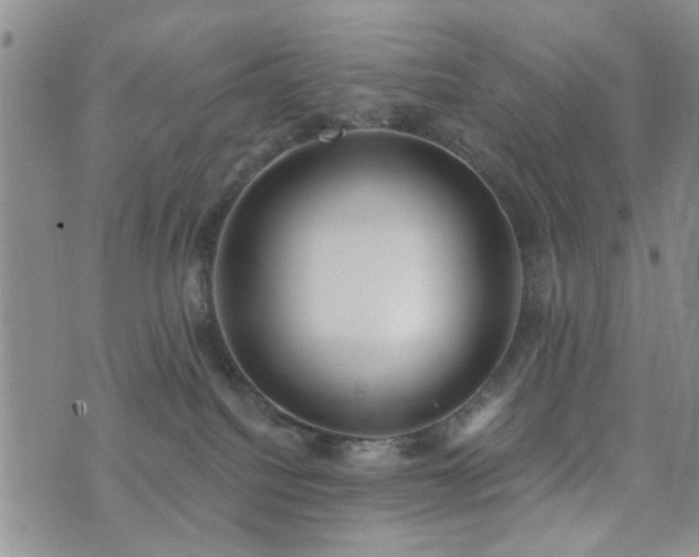 X0000073710088200608031250