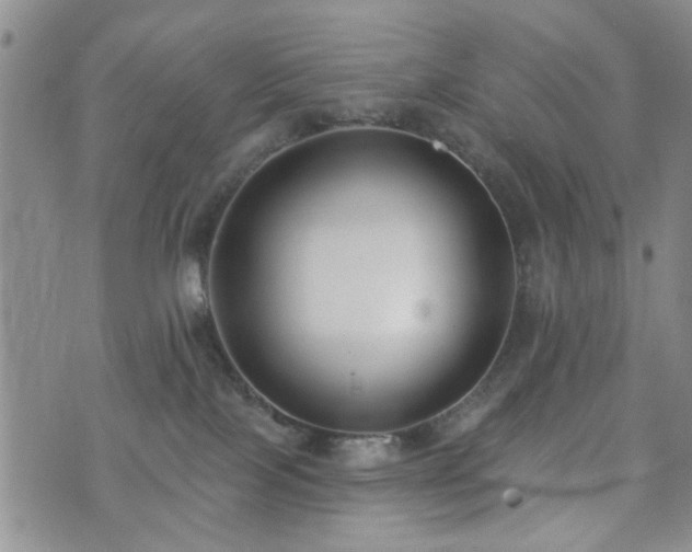 X0000073710089200608031250